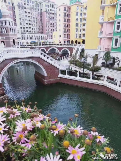 嘉興 嘉興平湖 樓盤(pán)詳情 平湖房天下 熱度第一